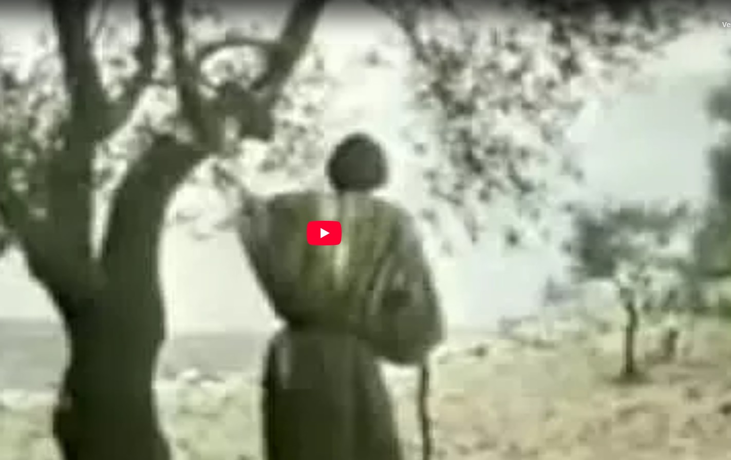 Los Profetas de la Biblia